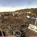 14_20-nest.jpg