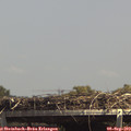 14_25-mast.jpg