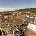 14_25-nest.jpg