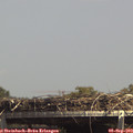 14_30-mast.jpg