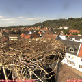 14_30-nest.jpg