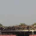 14_35-mast.jpg