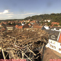 14_35-nest.jpg