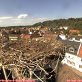 14_40-nest.jpg
