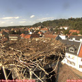 14_45-nest.jpg