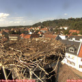 14_50-nest.jpg