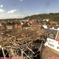 14_55-nest.jpg
