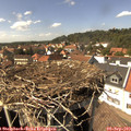 15_00-nest.jpg