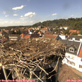 15_05-nest.jpg