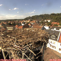 15_10-nest.jpg
