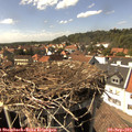 15_20-nest.jpg
