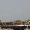 15_25-mast.jpg