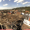 15_25-nest.jpg