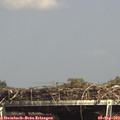 15_30-mast.jpg