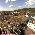 15_30-nest.jpg