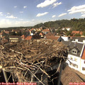 15_35-nest.jpg