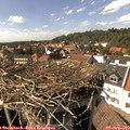 15_40-nest.jpg