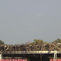 15_45-mast.jpg