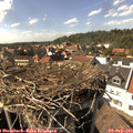 15_45-nest.jpg