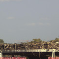 15_55-mast.jpg