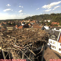 15_55-nest.jpg