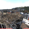 16_05-nest.jpg