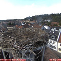 16_10-nest.jpg