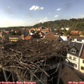16_15-nest.jpg