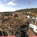 16_25-nest.jpg