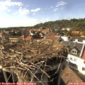 16_30-nest.jpg