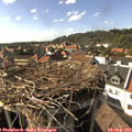16_35-nest.jpg