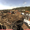 16_40-nest.jpg