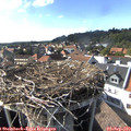 16_45-nest.jpg