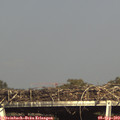 16_50-mast.jpg