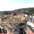 16_50-nest.jpg