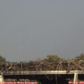 16_55-mast.jpg