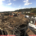 16_55-nest.jpg