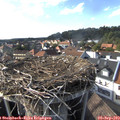 17_00-nest.jpg