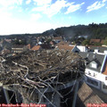 17_05-nest.jpg
