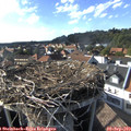17_10-nest.jpg