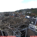 17_15-nest.jpg