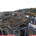 17_20-nest.jpg
