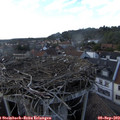 17_25-nest.jpg