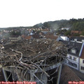 17_35-nest.jpg