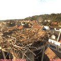 17_40-nest.jpg