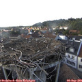 17_45-nest.jpg