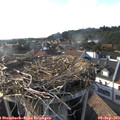 17_50-nest.jpg