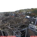 17_55-nest.jpg