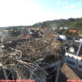 18_05-nest.jpg