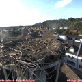 18_10-nest.jpg